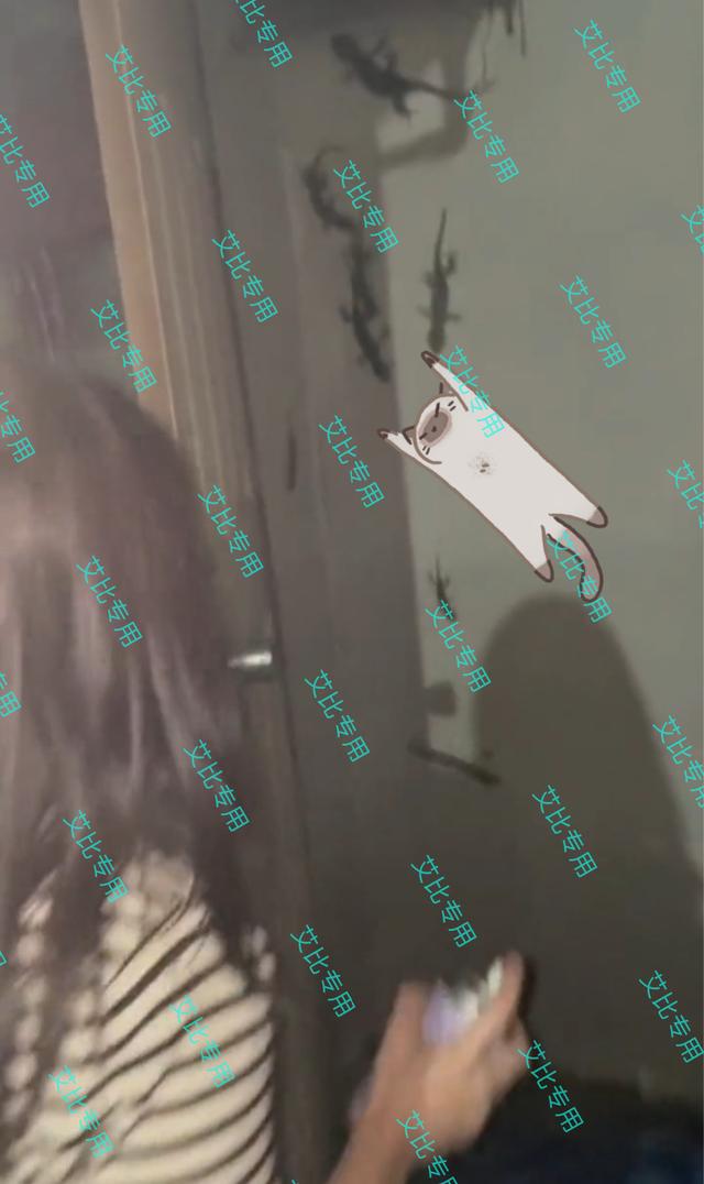 江苏一女子开门门后全是壁虎,一女子打开门发现一窝壁虎