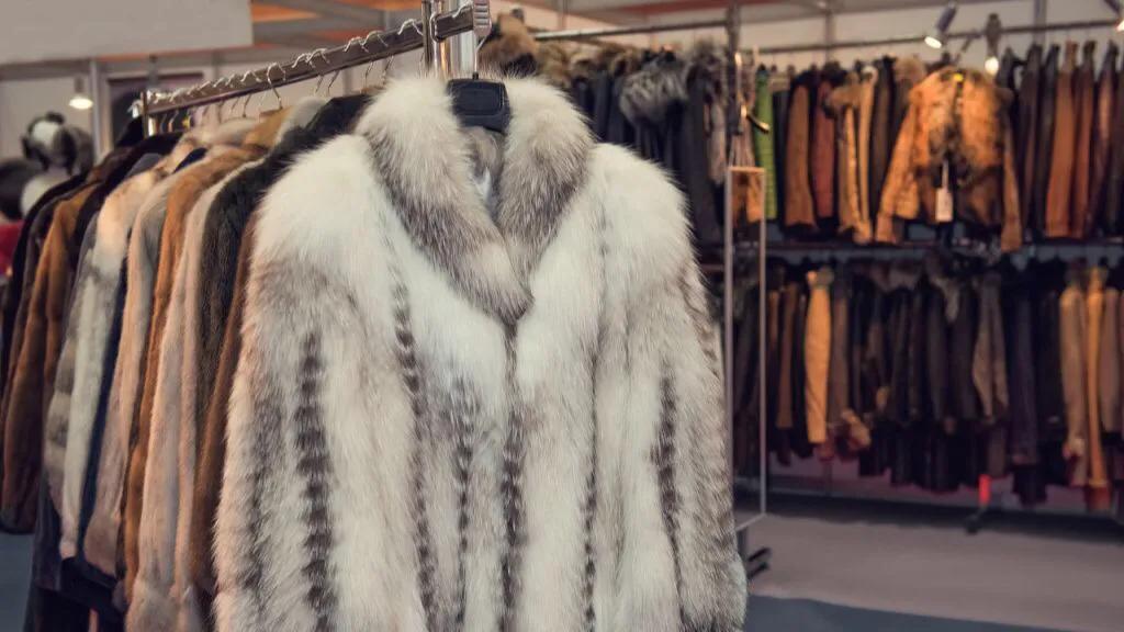 为什么貂皮不流行了,为什么现在羊毛大衣没人买