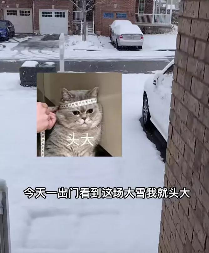 多伦多-20℃喜提2年最低温！今年加拿大天气太迷了