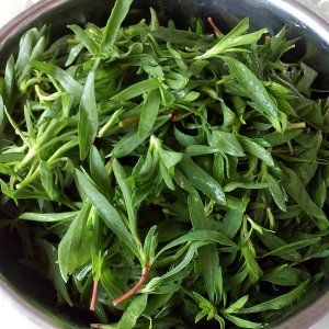 农村常见的紫花野菜,农村山里面常见的野菜