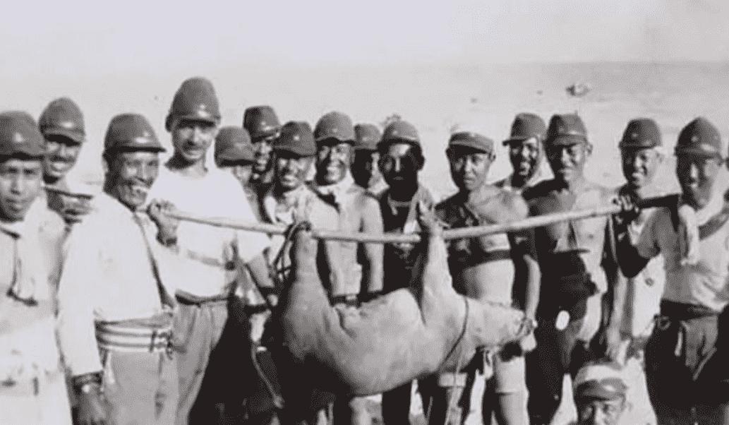 日军暴行老照片图文,日军暴行老照片真实