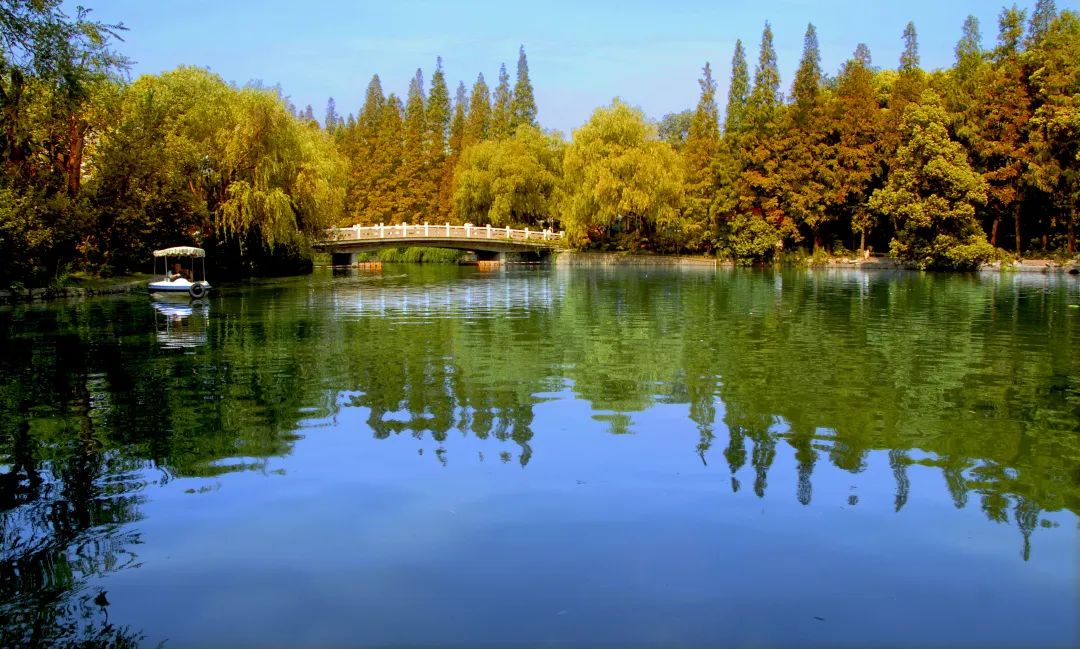 上海地铁直达的公园,上海最美公园地铁站