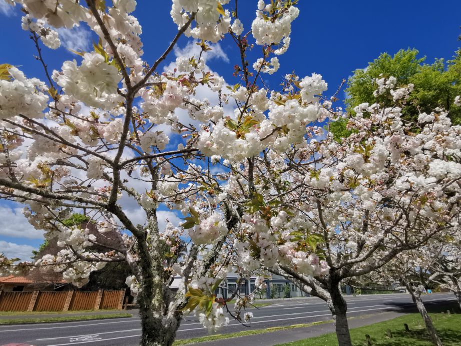好山好水好寂寞69563725,好山好水好寂寞出处