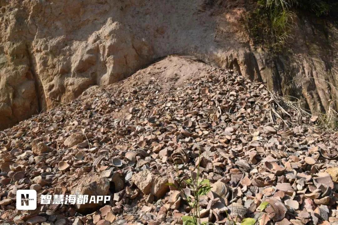 闽清千年古窑被挖掘,罗源县被盗古墓