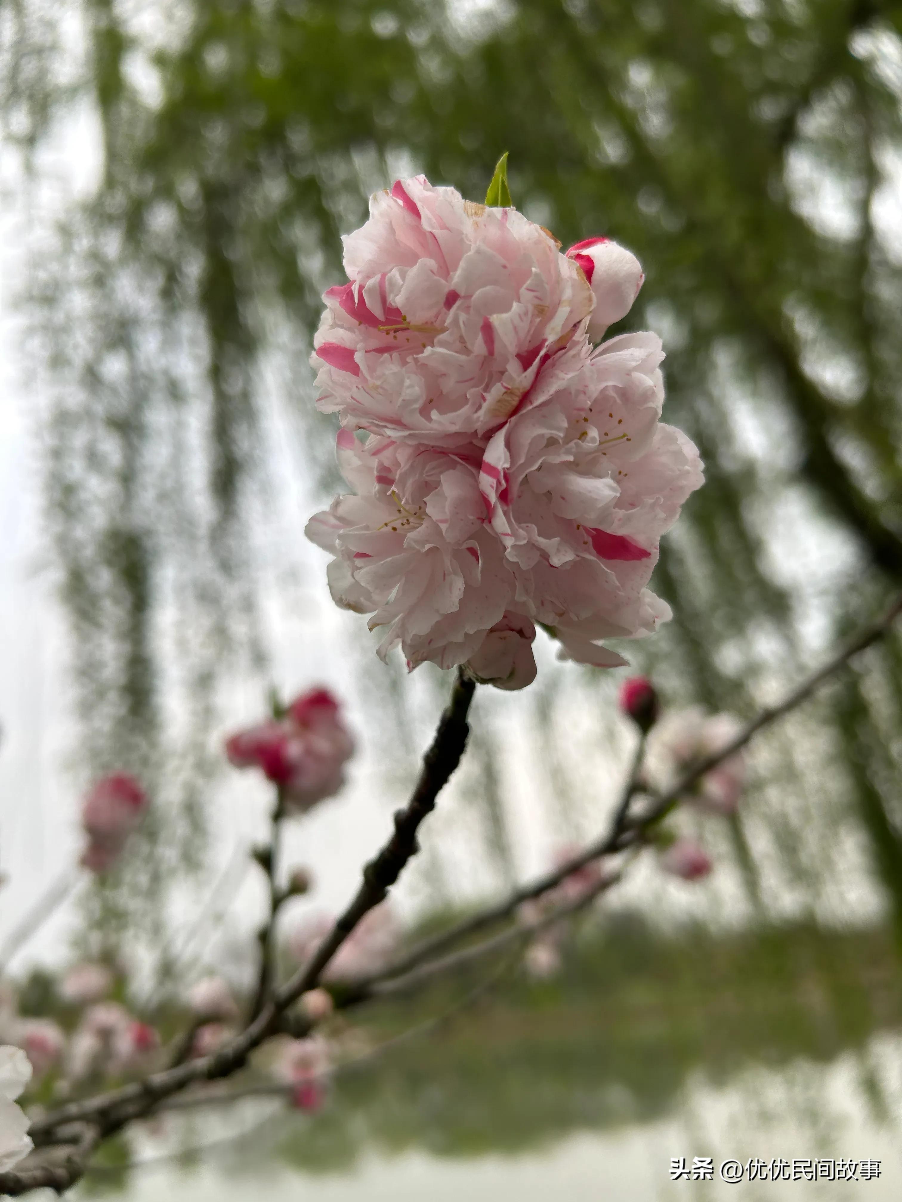 女子被男同事欺负怎么办,女子遭男同事欺负