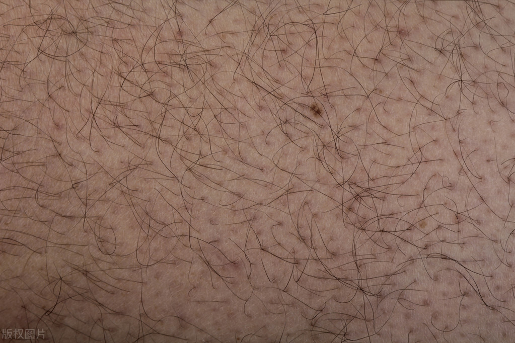 肛毛和阴毛有何区别，肛毛可以剪掉吗？医生直言：它还有2个好处