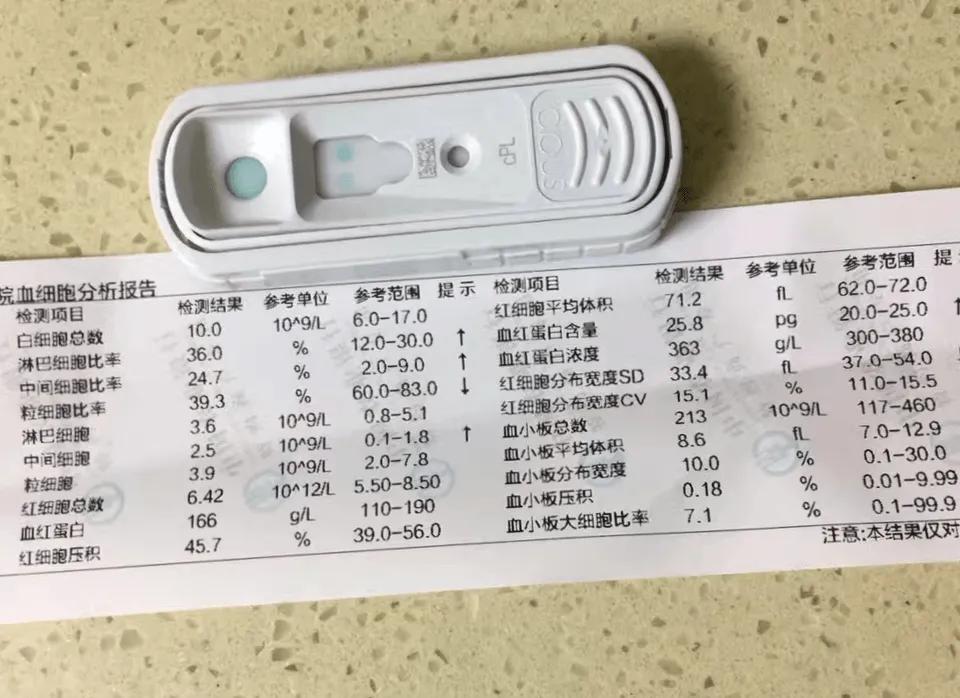 狗能不能吃猪肉宠物狗可以喂肉吗,为什么兽医说狗狗不能吃猪肉