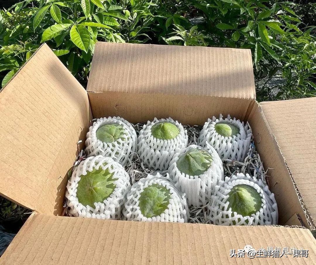 #奇异水果知多少#椰柿、黄晶果、冰淇淋果、巧克力布丁果等