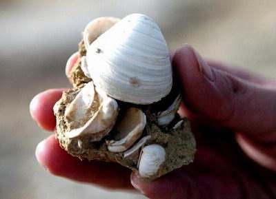 亚特兰蒂斯水下遗址真的存在吗,太平洋海底发现外星基地