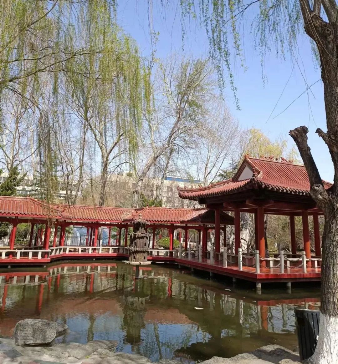 诗词里的校园,春日校园美景诗句