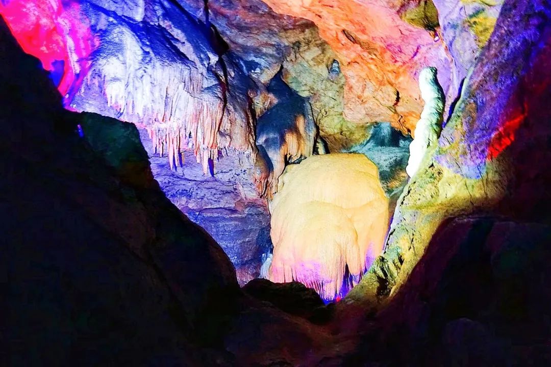 我去竹林避暑了，夏天过完再通知我！