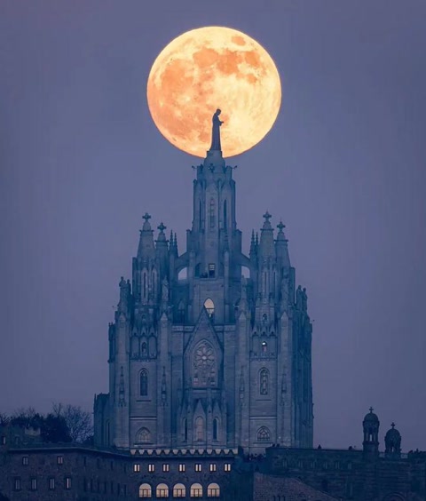 十大经典抓拍照片,100张绝美摄影照片