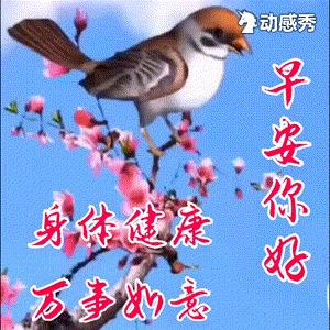 最新早安温馨祝福语美图大全,1月3日早安图片