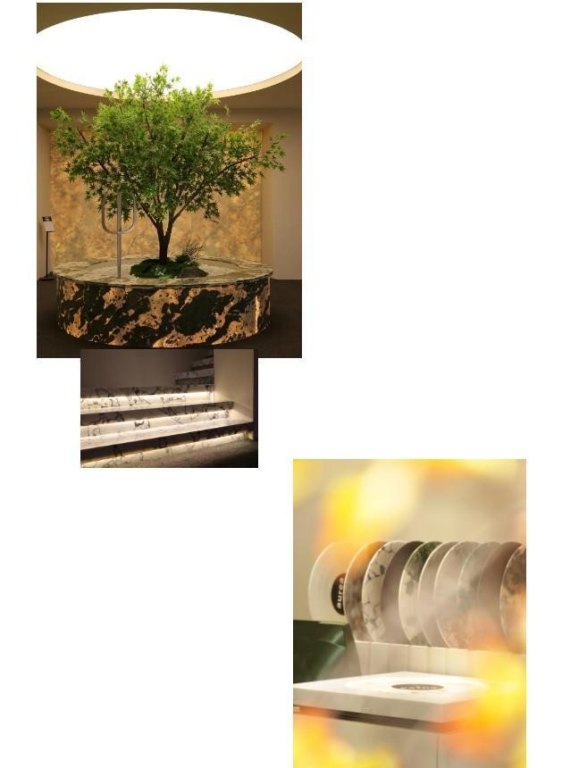 欧若拉年会,欧若拉漫展