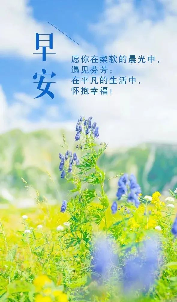 2020早安心语正能量简单一句话,早安心语经典语录简短图片