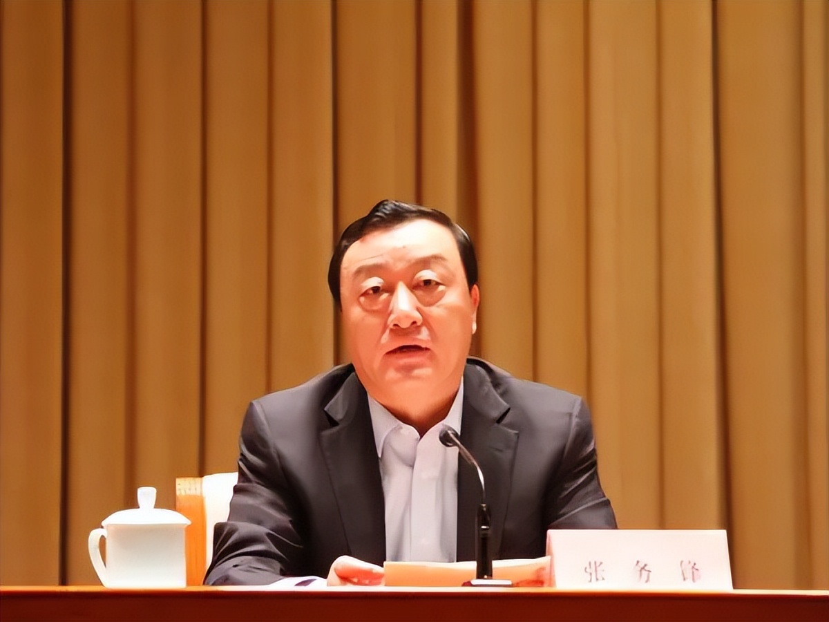 张务锋、徐鸣、徐宝义、胡东胜、朱玉文、辛敏超、杨随亭、张天喜、顾艳华，专项整治开展后被捉的“硕鼠”们