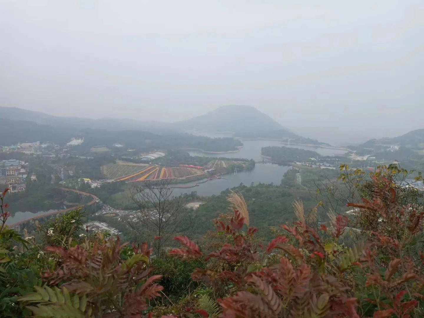 深圳东部华侨城天禅视频,深圳东部华侨城山顶寺庙