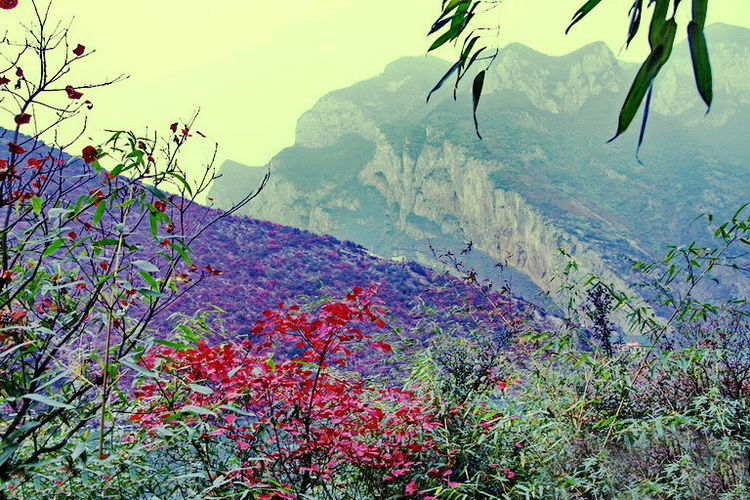 廿万公里六章，要看两岸猿声啼不住，只需要在大昌古镇150元租船