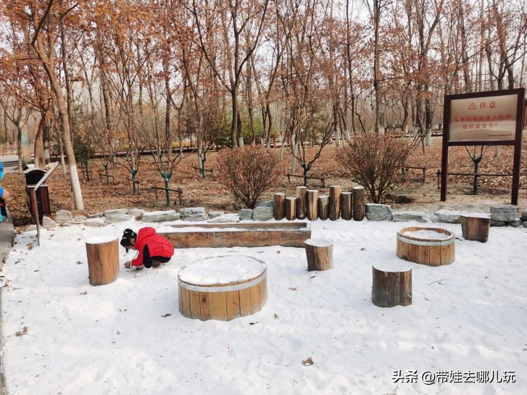 在森林公园里玩耍,中国可以骑行的森林公园