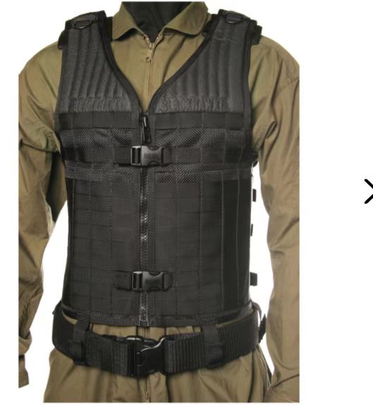 虎年说虎科普视频,虎年说虎运用了哪些说明方法