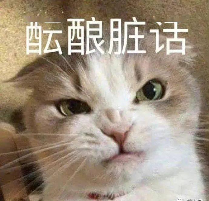 花了1000块钱拍艺术照,花了900元拍的照片