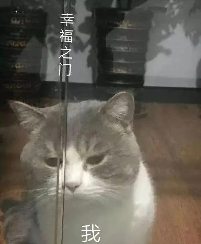 想摆脱暗恋,想摆脱自己暗恋的人