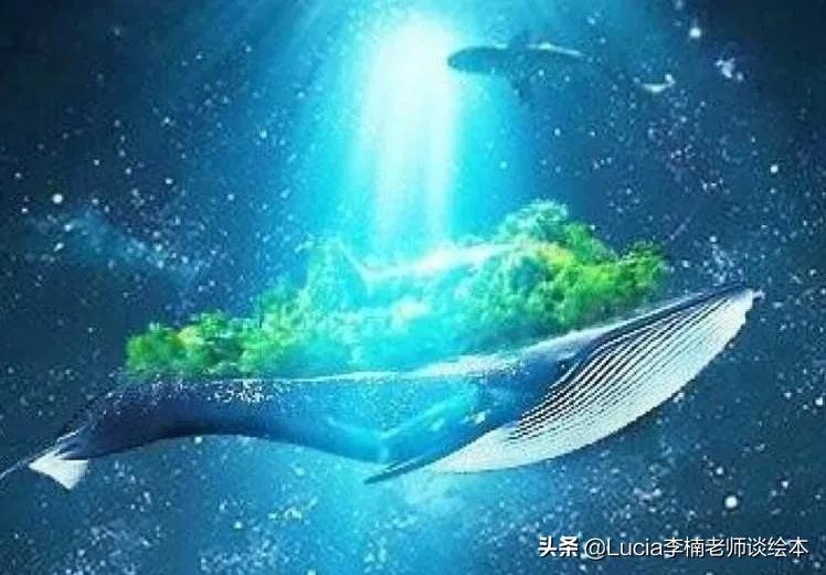 “一鲸落，万物生”，你听说过吗？