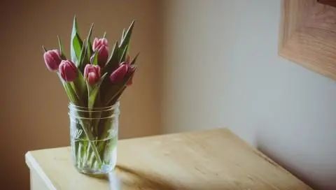 三月花事Vol.2|那些属于女神们的花