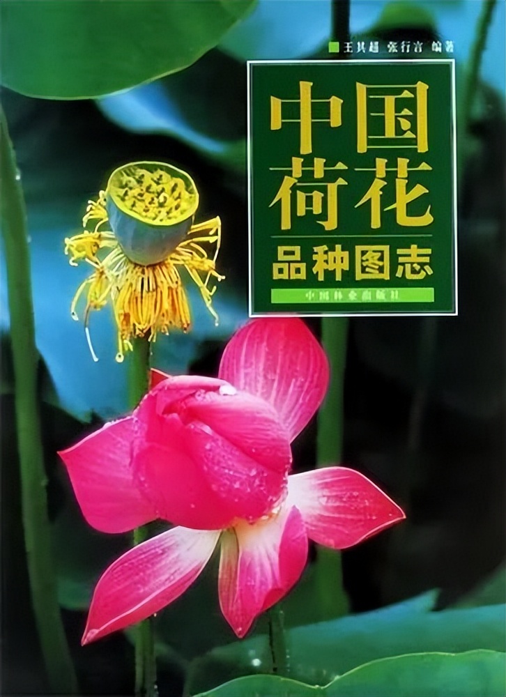 2022年读过的十大好书,2022年最适合读的书