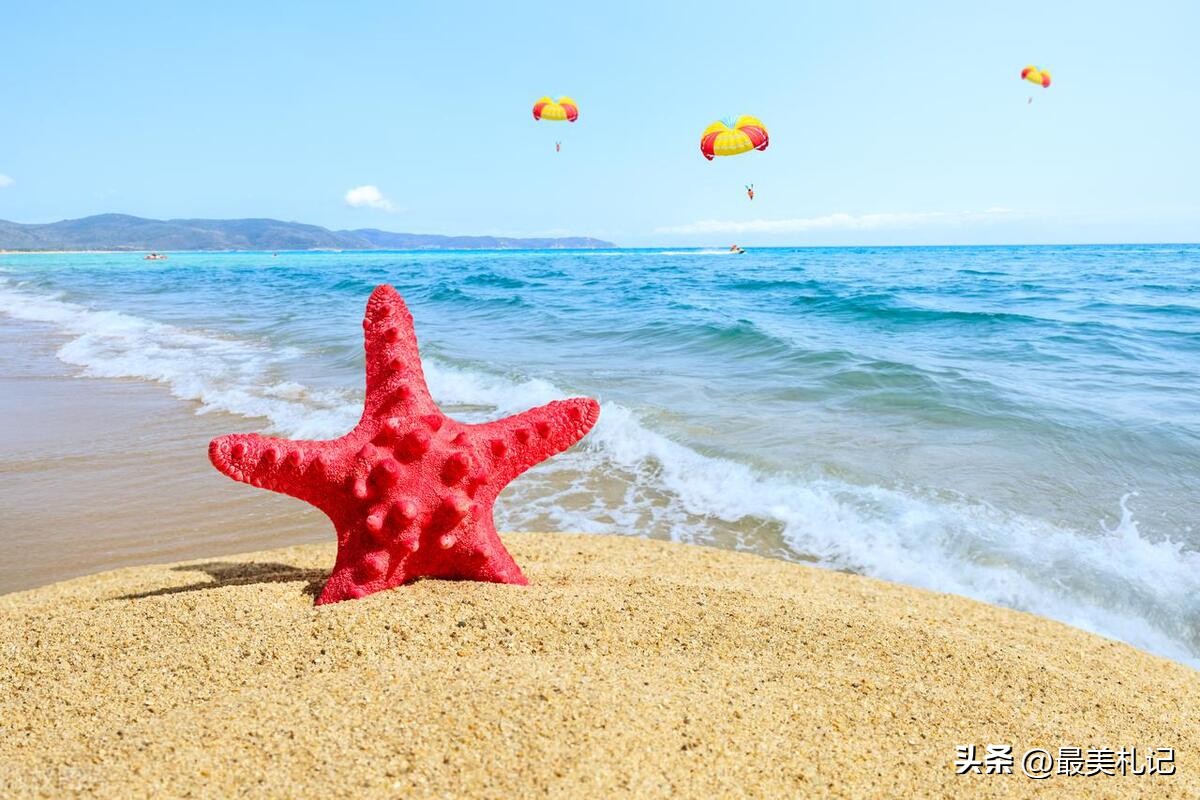 肖申克的救赎在希望与自由中前进,肖申克的救赎安迪开车奔向自由