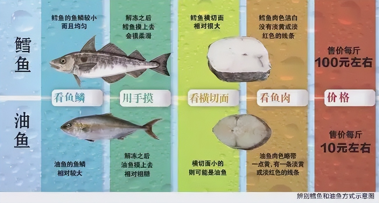 油鱼为何被多国禁止食用,油鱼危害