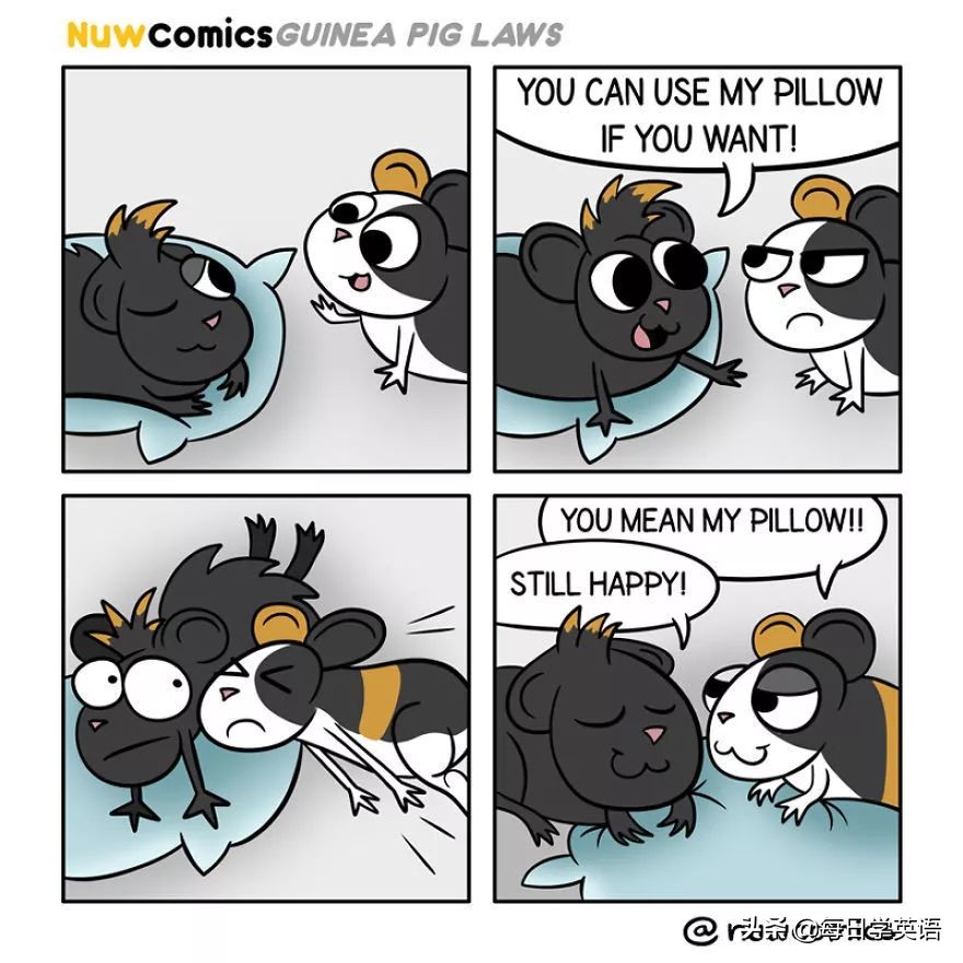 豚鼠漫画,豚鼠在漫画里的样子