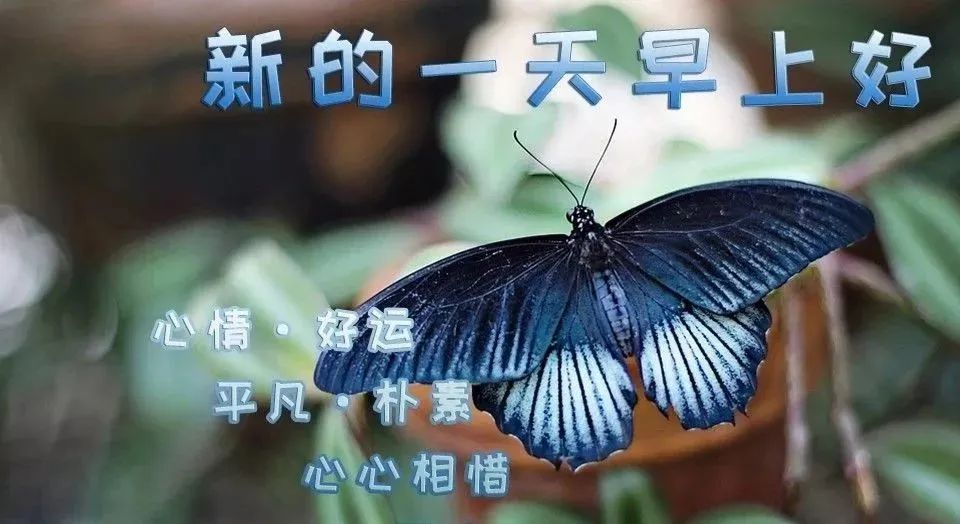 清晨开心幸福问候表情图片,早上好祝你天天开心表情图片