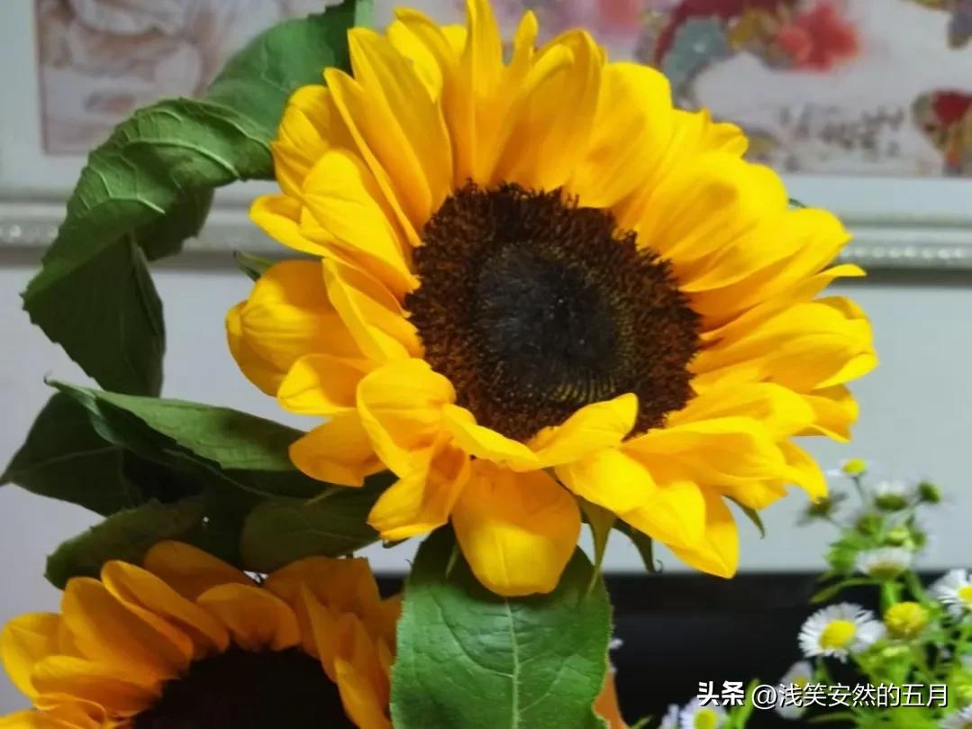 我，月收入为零的家庭妇女，挣得最大的钱是100万