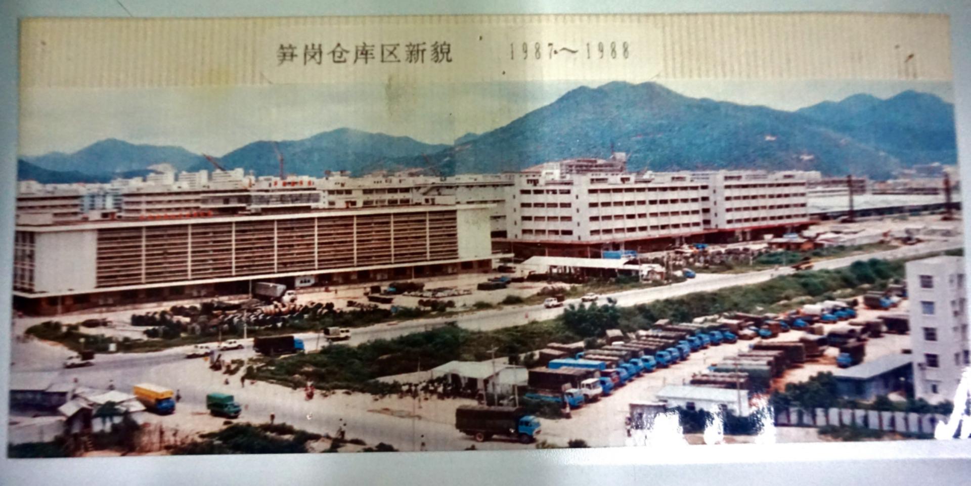 李八一是哪个电视剧,李八一举办锦标赛视频