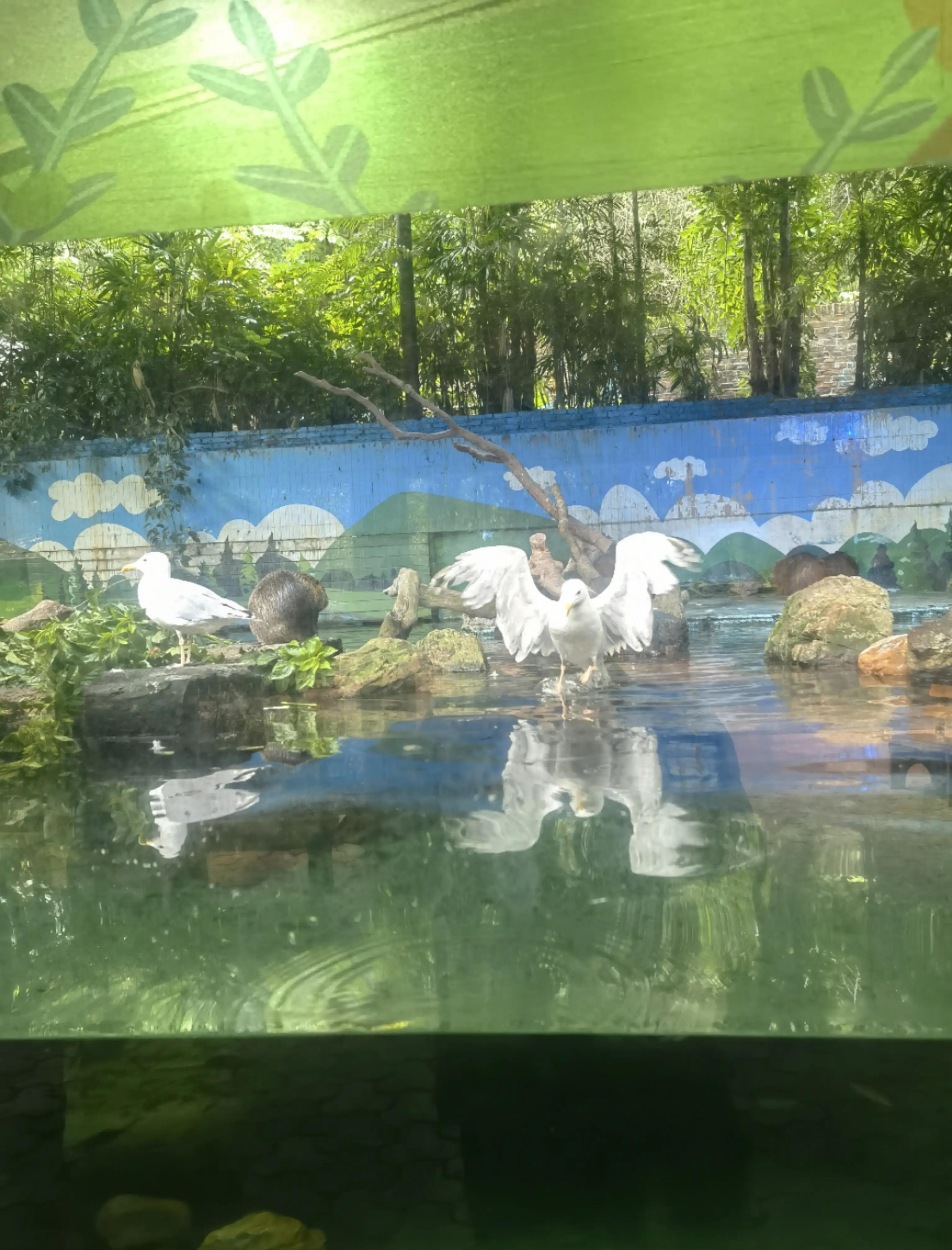 世界上唯一的夜间野生动物园,中国最好的北极熊动物园