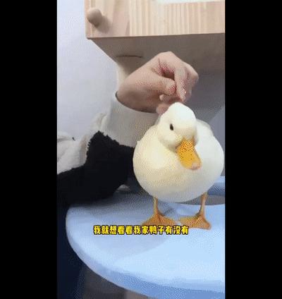 世界杯冠军首场翻车,世界杯输球过程