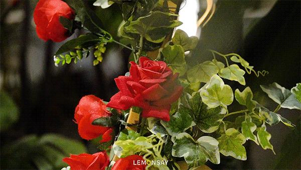 来海南一定要吃糟粕醋,外地人吃得惯糟粕醋吗