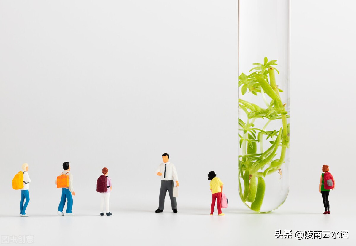 亲身体会过才懂教师的不易,做教师无怨无悔的感悟