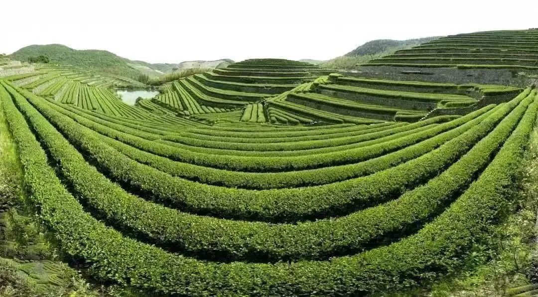 黄公望诗,黄公望诗路馆