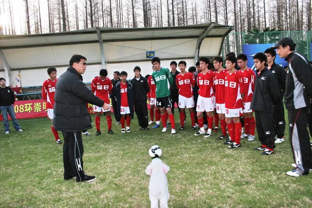 曼联复兴最新信息,曼联复兴之路