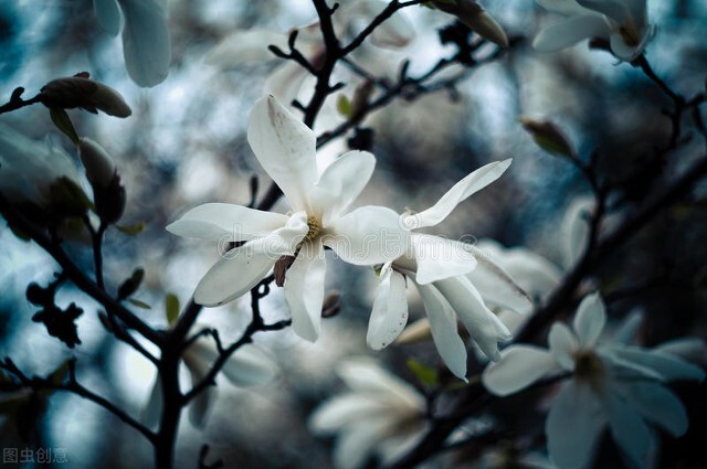 如何和对方聊得舒服,跟女孩子聊天如何引起对方的兴趣