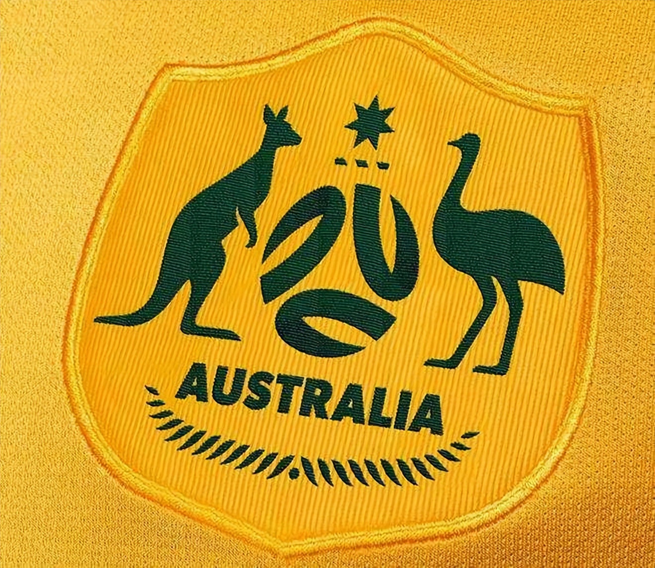 老鹰和狮子大决斗,老鹰与世界杯