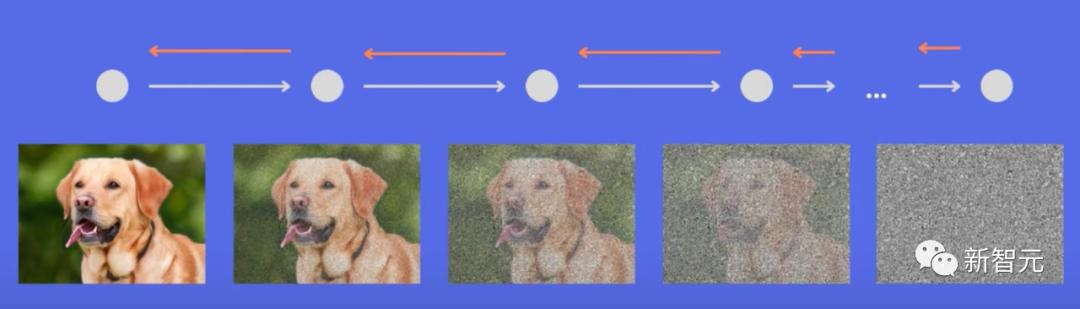 赫敏穿越,赫敏与龙妈