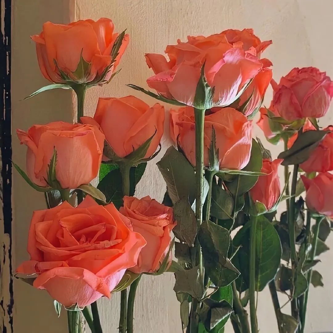 超有感觉的背景图伤感,小众超有感觉的背景图