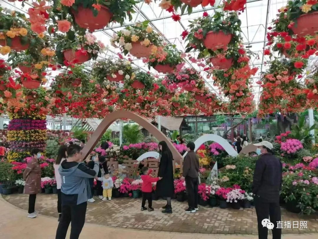 日照夜生活哪里玩,日照晚上去哪里玩