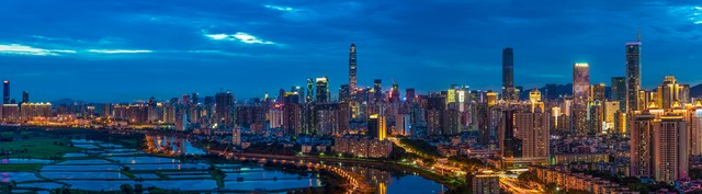 宁夏百年老枸杞,宁夏红枸杞美景