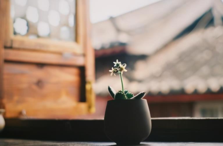 人过六十:穿布衣,品菜羹,看闲书