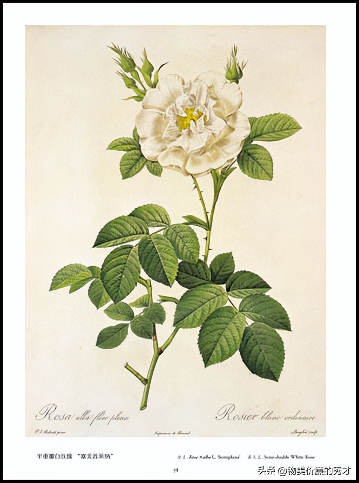 网传的抄书赚钱是真的假的,网上抄书能赚钱吗