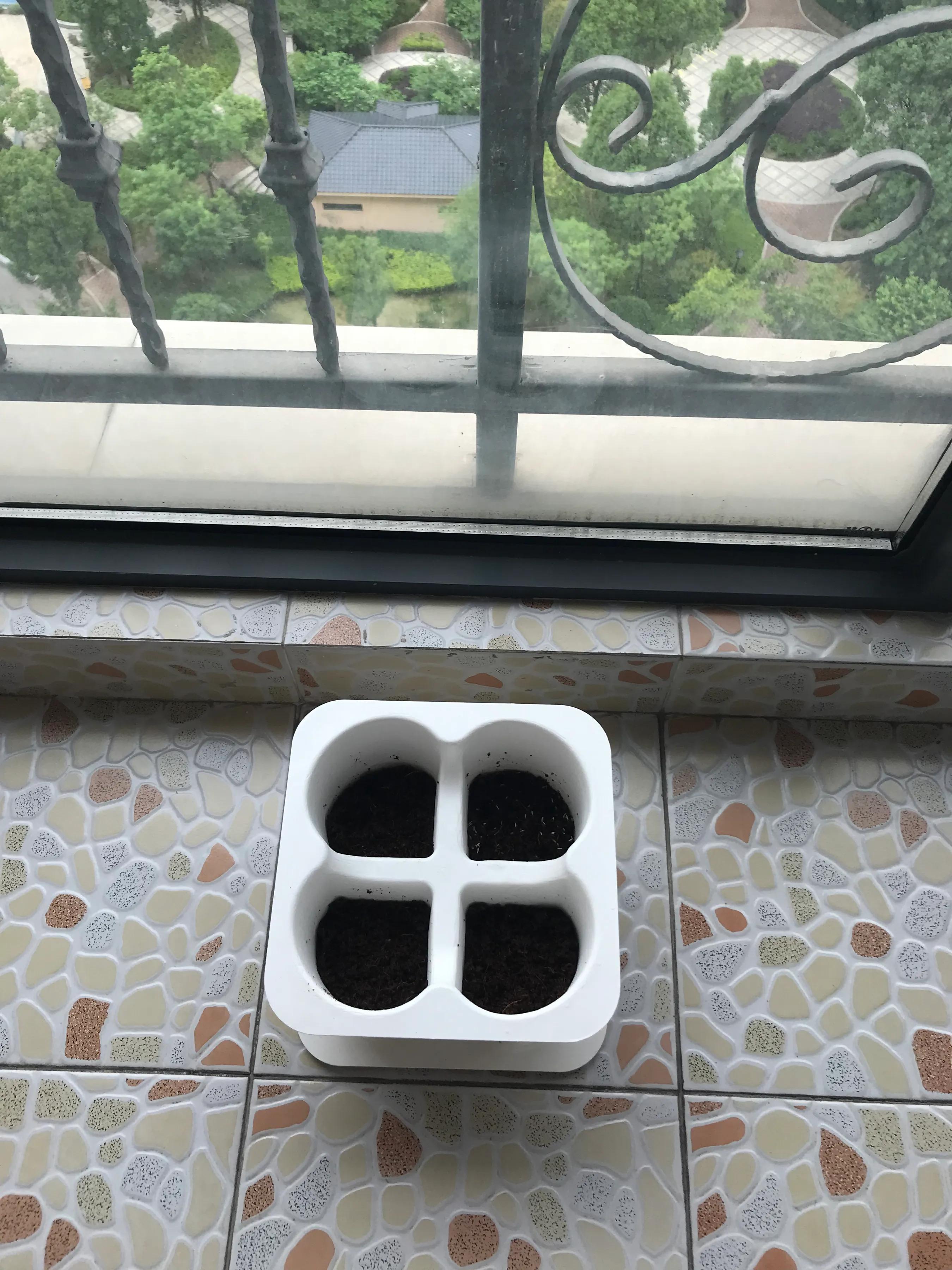 端午节给孩子们准备的礼物,端午节要准备的礼物